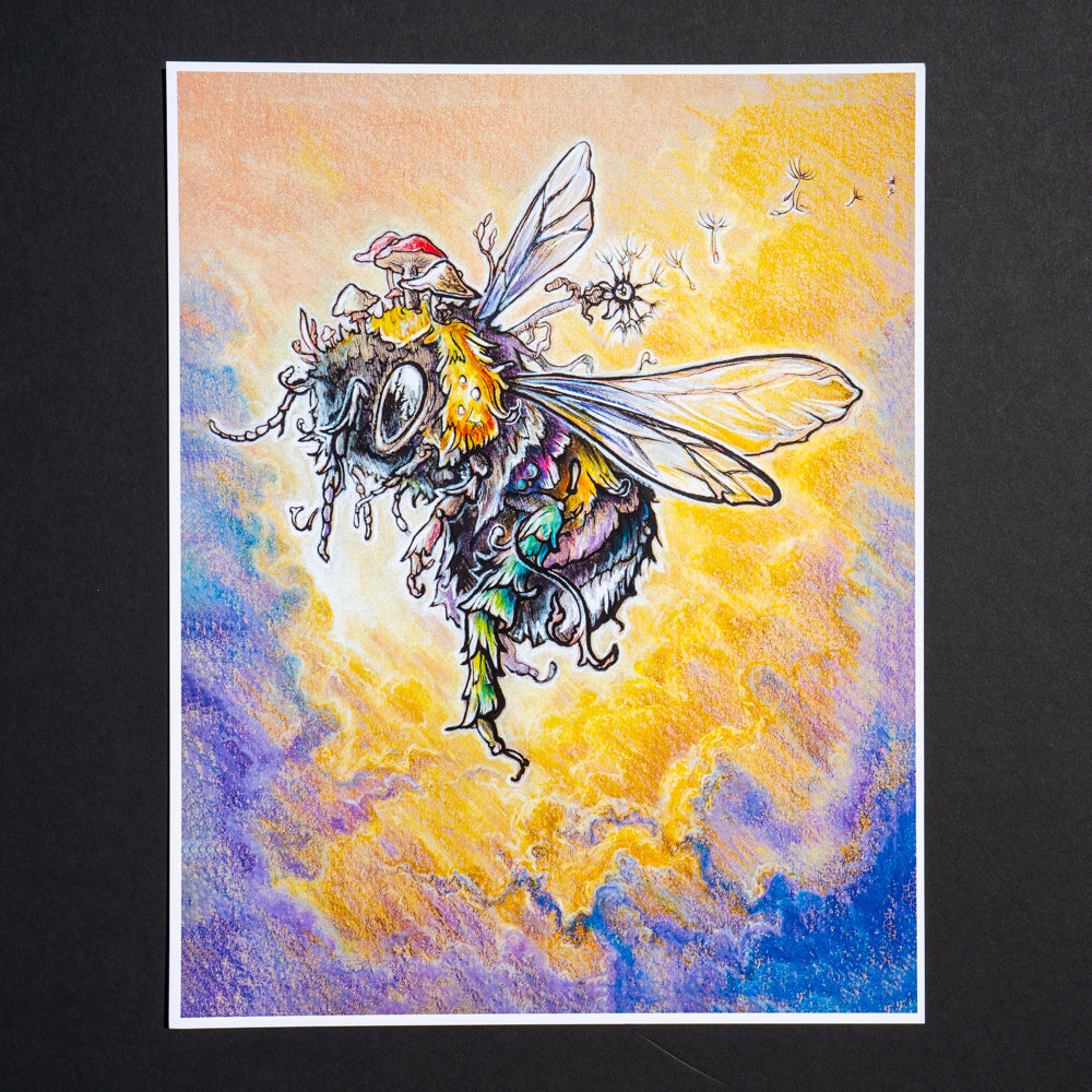 Prints (EF Leftovers)