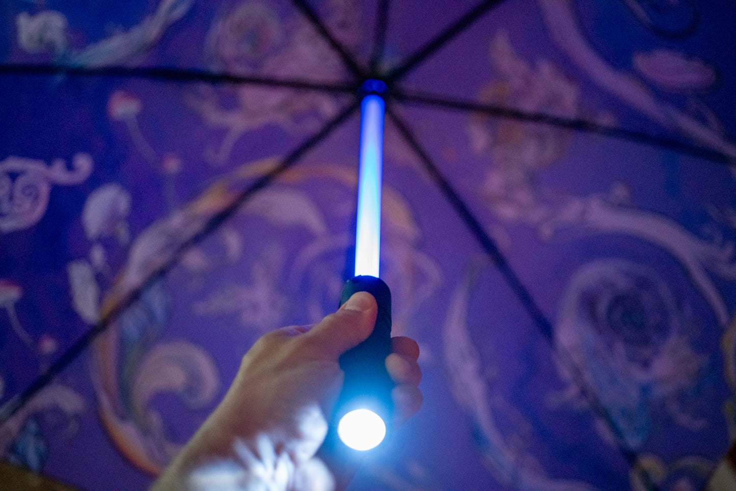 Alice In Wonderland Umbrellas