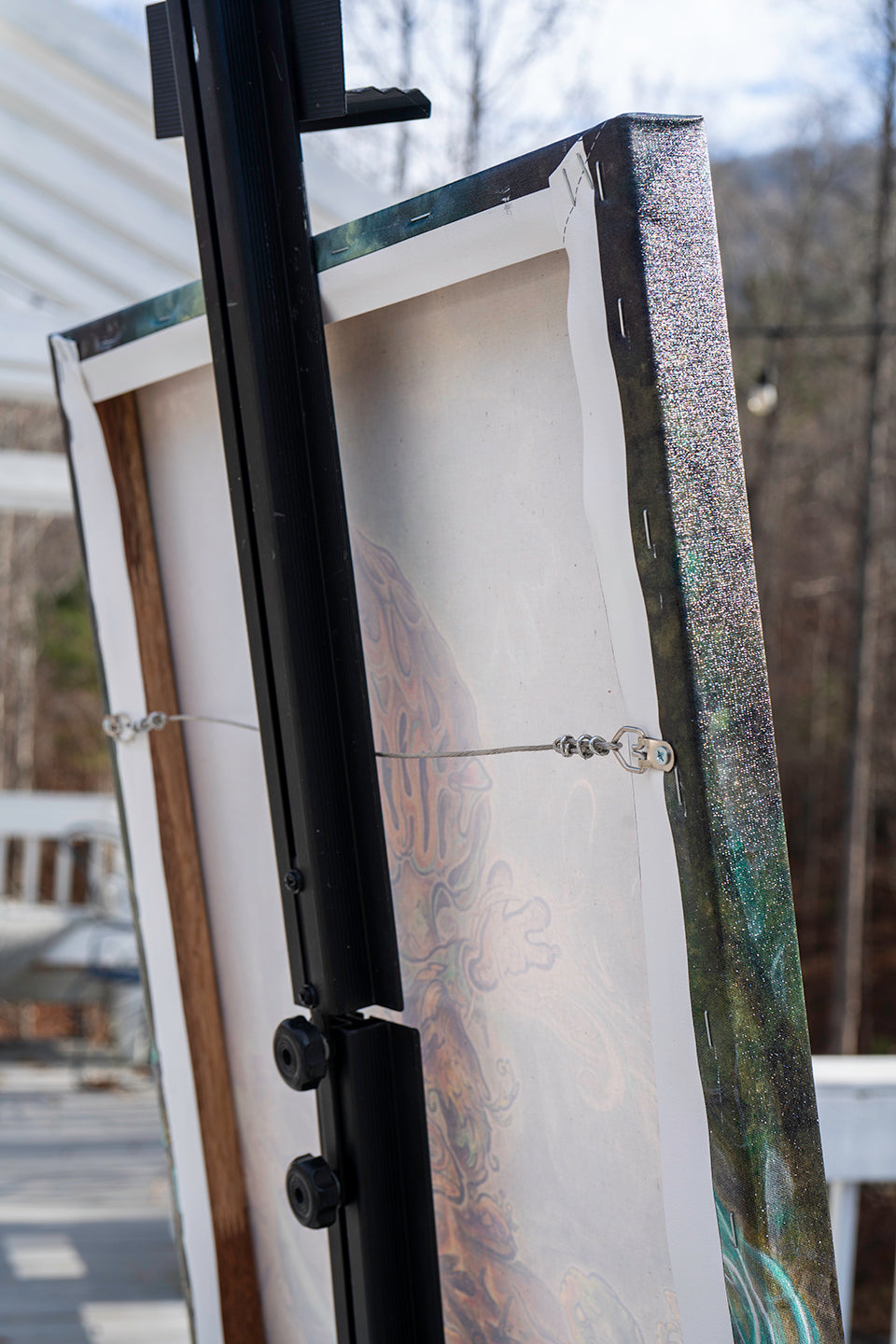 The Storyteller Canvas Prints